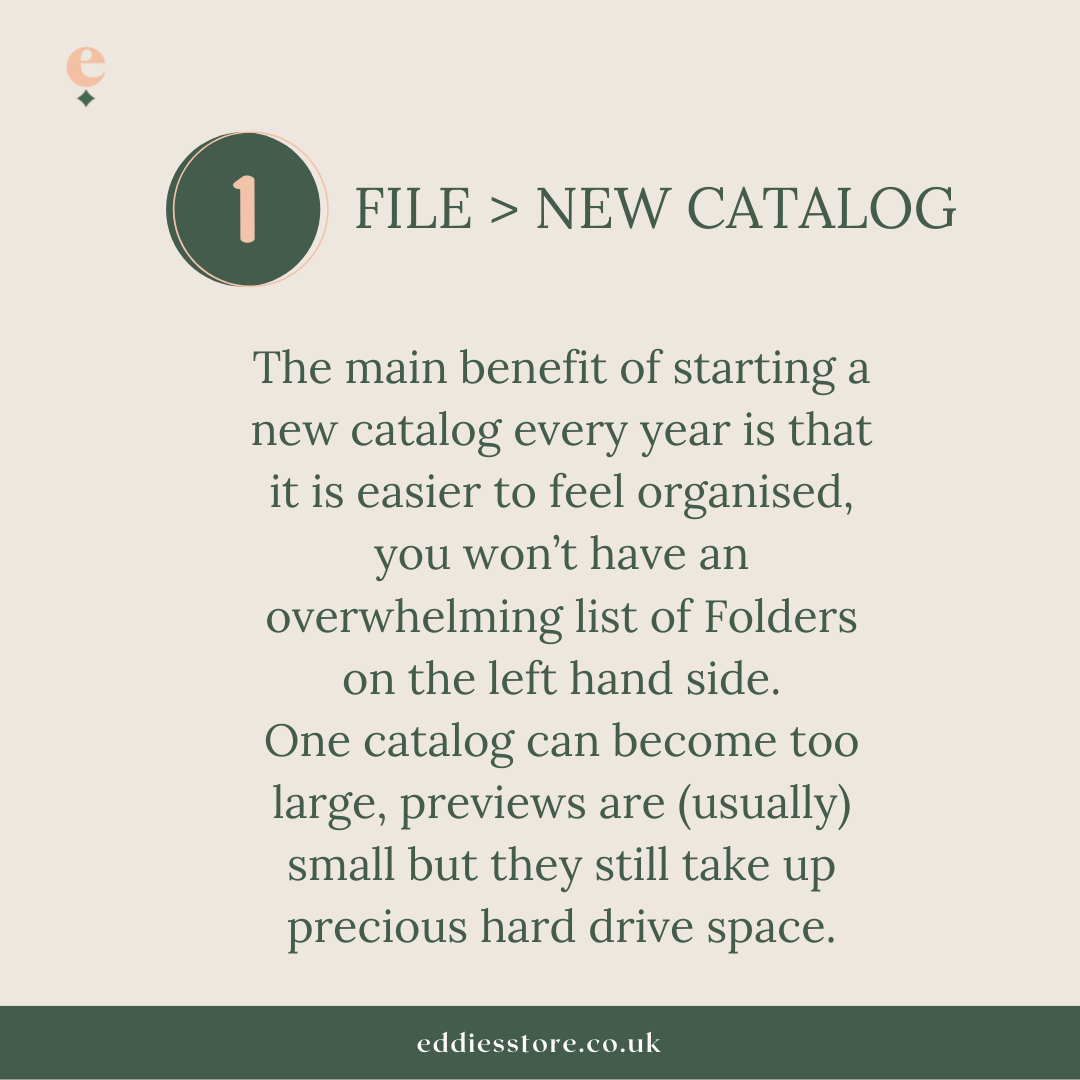 New Catalog creation MASTERCLASS - Image 4